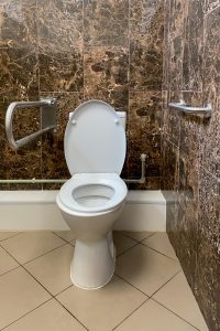 Stylish grab bars installed beside a comfort-height toilet.